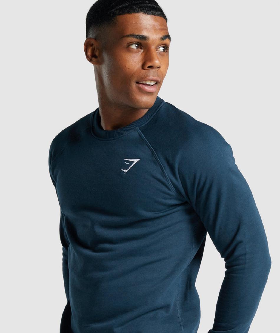 Gymshark Crest Sweatshirt Muške Accessories Tamnoplave | HR 2777VRW